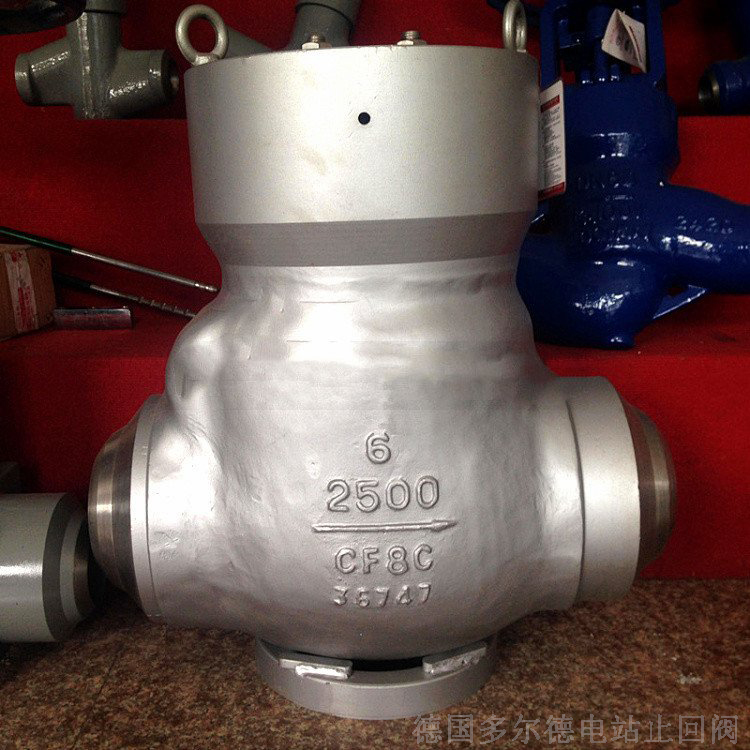 进口电站止回阀11.jpg