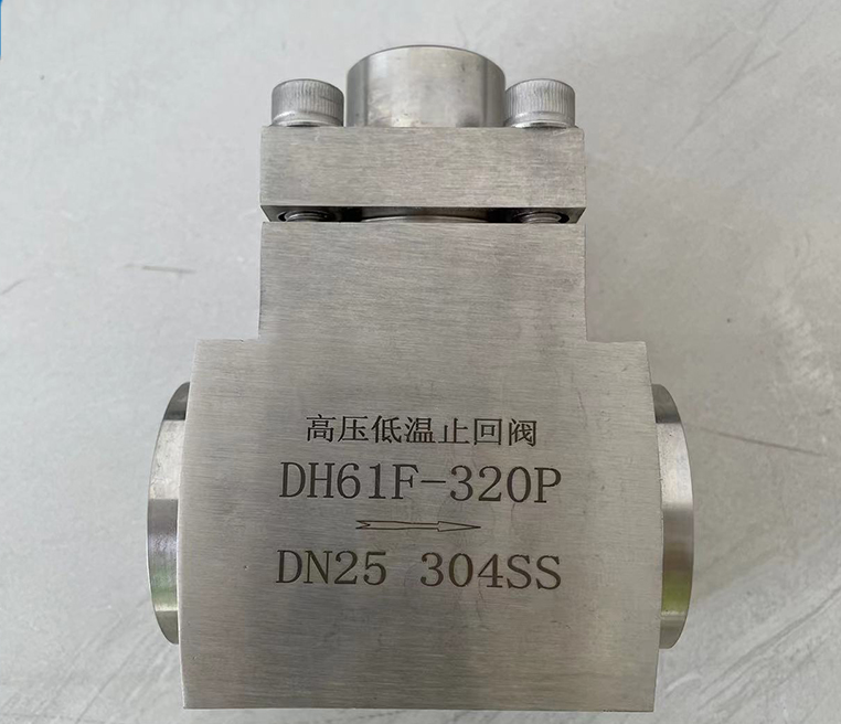 进口低温高压止回阀1.jpg