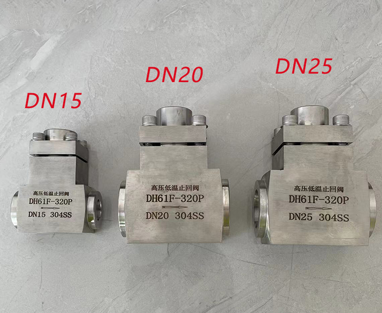 进口低温高压止回阀5.jpg