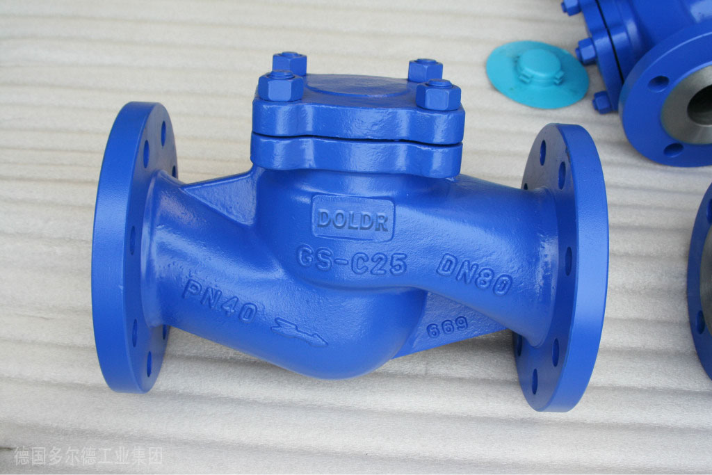 进口德标止回阀1.jpg