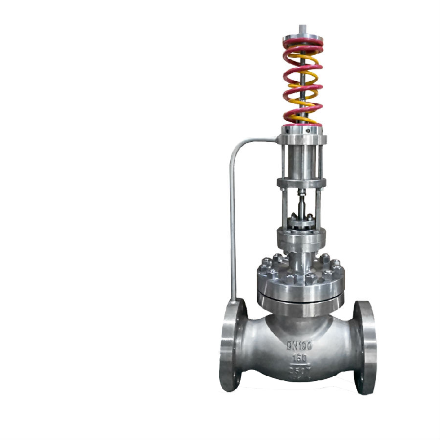 进口自力式阀后压力调节阀-德国多尔德DOLDR