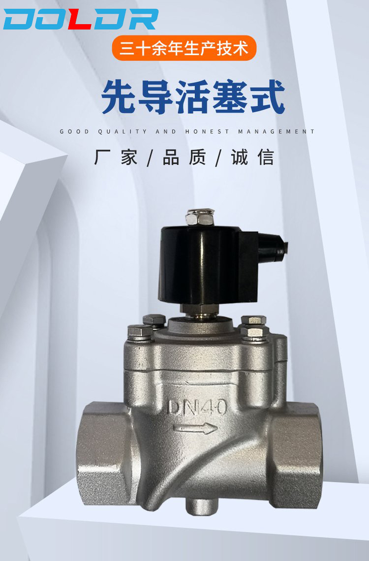 进口活塞式电磁阀10副本.jpg